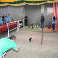 IMG_2571