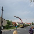 IMG_1528