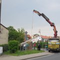 IMG_1533