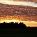 IMG_0115