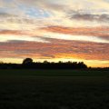 IMG_0116