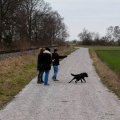 IMG_2645